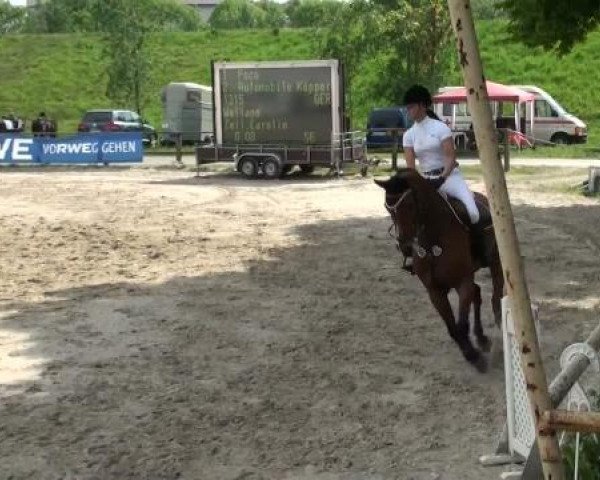 Dorsten 2011