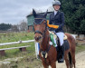 dressage horse PAV Vaiana (German Riding Pony, 2017, from Del Sol 4)