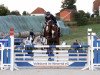 jumper Do 'little (Hanoverian, 2017, from Diamant de Plaisir)