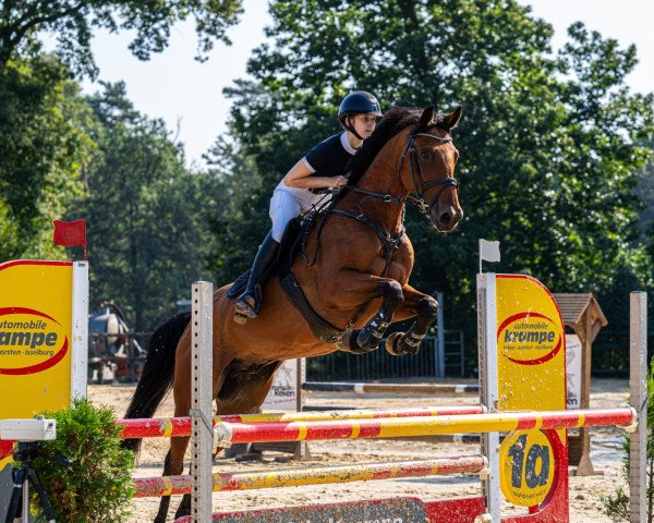 jumper Gargamel (German Sport Horse, 2012, from Gepsom)