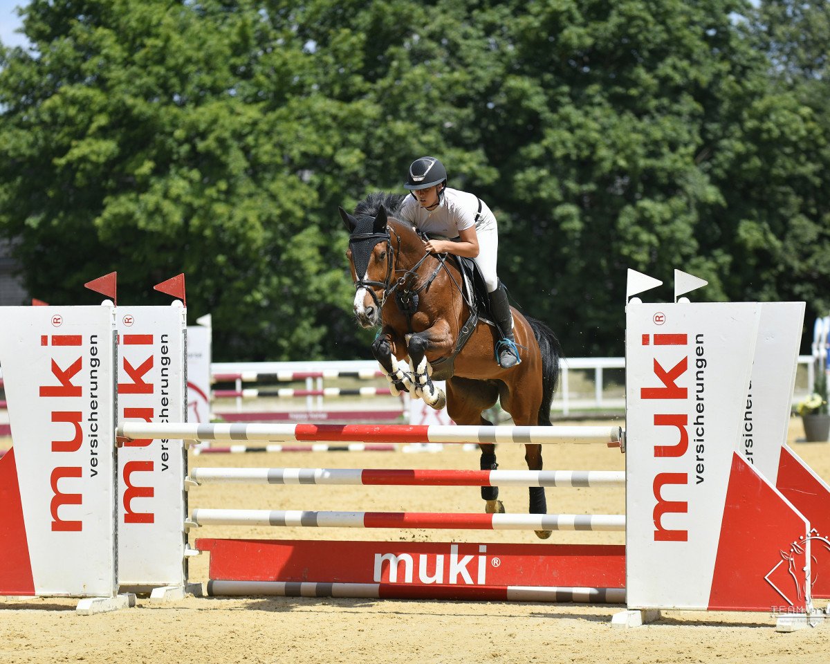 Springpferd Aida La Champ (Ungarisches Warmblut, 2007)