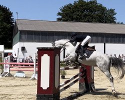 jumper Call Me Cooper Jr. (Rheinländer, 2013, from Cassini Boy Junior)