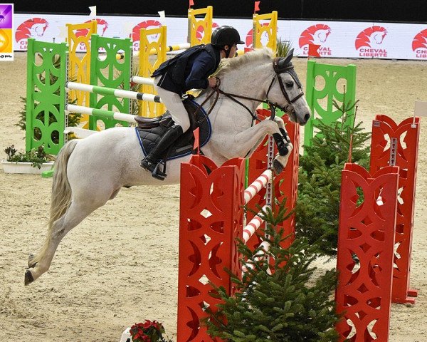 jumper Udix d'Isky (French Pony, 2008, from Dexter Leam Pondi)