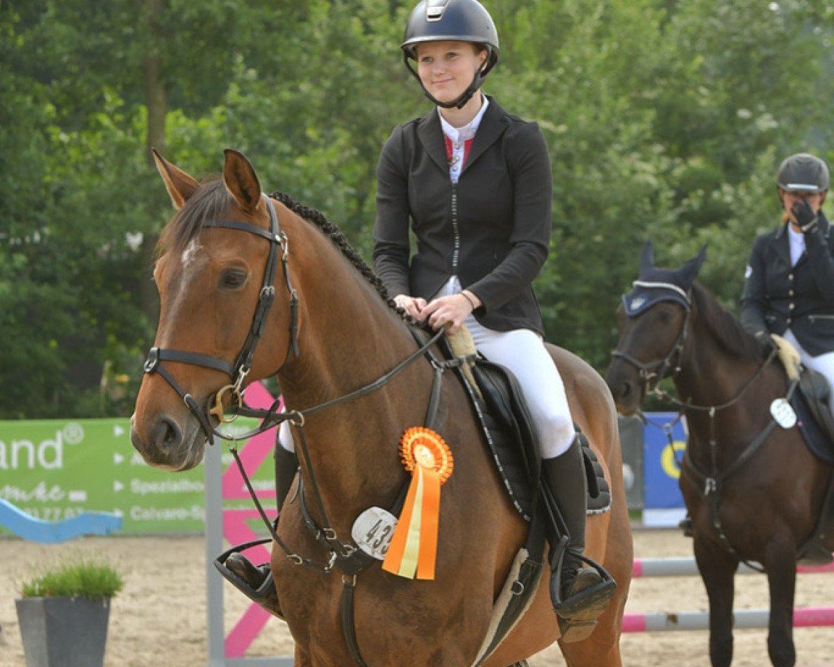 jumper Quinn 56 (Bavarian, 2013, from Quilato 3)