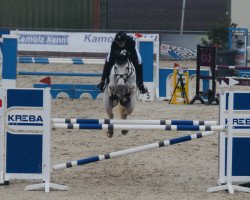 jumper Simba 218 (Hanoverian, 2016, from Stolzenberg)