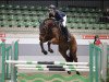 jumper Contino 86 (Hanoverian, 2015, from Cansendo)