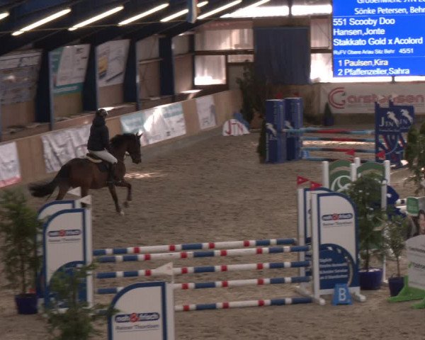 Reitturnier Großenwiehe 2024