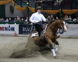 Deckhengst A Stylish Gallo (Quarter Horse, 2000, von Gallo Del Cielo)