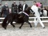 broodmare Shania van de Kuiperij (Shetland Pony,  , from Elegant van de Schaapshoeve)