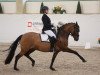 dressage horse Double Joy 6 (German Riding Pony, 2013, from Dreidimensional AT NRW)