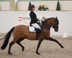 dressage horse Double Joy 6 (German Riding Pony, 2013, from Dreidimensional AT NRW)