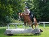 jumper Pinkus 23 (German Riding Pony, 1995)