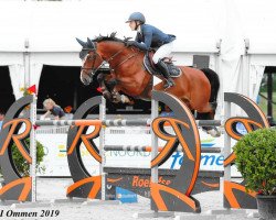 jumper Ferdinand W (KWPN (Royal Dutch Sporthorse), 2010, from Carthino Z)