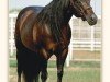 Deckhengst Lean With Me (Quarter Horse, 1990, von Smart Little Lena)