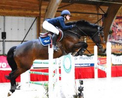 Springpferd Jarisca van het Hagenhof (Belgisches Warmblut, 2009, von Vagabond de la Pomme)