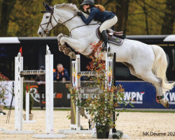 jumper Jolie F (KWPN (Royal Dutch Sporthorse), 2014, from Namelus R)