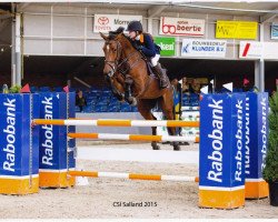 jumper Douglas Vs (KWPN (Royal Dutch Sporthorse), 2008, from Tolan R)