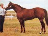 stallion Impressive Dandy (Quarter Horse, 1978, from Impressive)