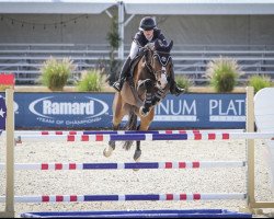 jumper Celina Z (Zangersheide riding horse, 2010, from Carthino Z)