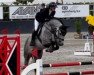 jumper Uppsala Jps (Westphalian, 2017, from United Touch S)