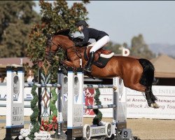 broodmare Etincelle du Paradis (Selle Français, 2014, from Canturo)