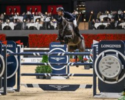 Springpferd EIC Cooley Jump The Q (Irish Sport Horse, 2013, von Eldiam de Reve)