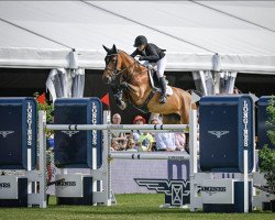 Springpferd Orelie (Belgisches Warmblut, 2014, von Emerald van 't Ruytershof)