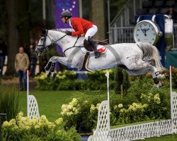 jumper Courage 137 (German Sport Horse, 2009, from Ab 19 Chepetto)