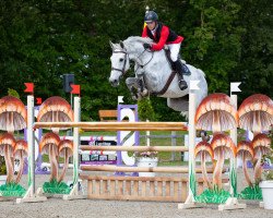 Springpferd Coria Von Hof (Schweizer Warmblut, 2013, von Coronino)