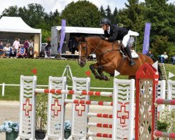 jumper Ekimov (KWPN (Royal Dutch Sporthorse), 2009, from Ustinov)