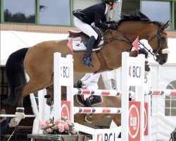 Springpferd Catia Von Hof (Schweizer Warmblut, 2012, von HRH Colombardo)