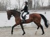 broodmare Gladys 88 (German Sport Horse, 2006, from Graf Top)