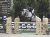 jumper Lisbonne de La Haie (Belgian Warmblood, 2017, from Cornet Obolensky)