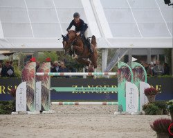 stallion Crypton Comme Il Faut (Croatian Warmblood, 2015, from Comme il Faut)