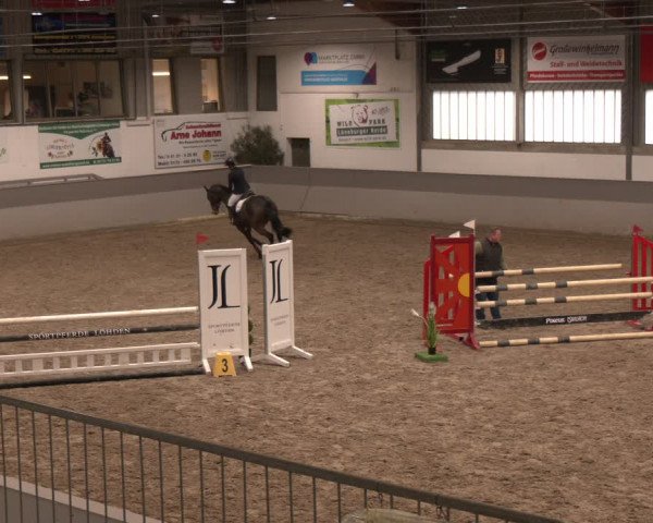 Reitturnier AZL Luhmühlen 2024
