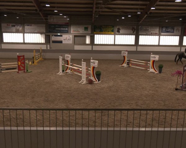 Reitturnier AZL Luhmühlen 2024