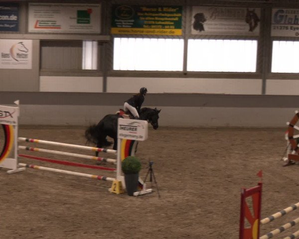 Reitturnier AZL Luhmühlen 2024