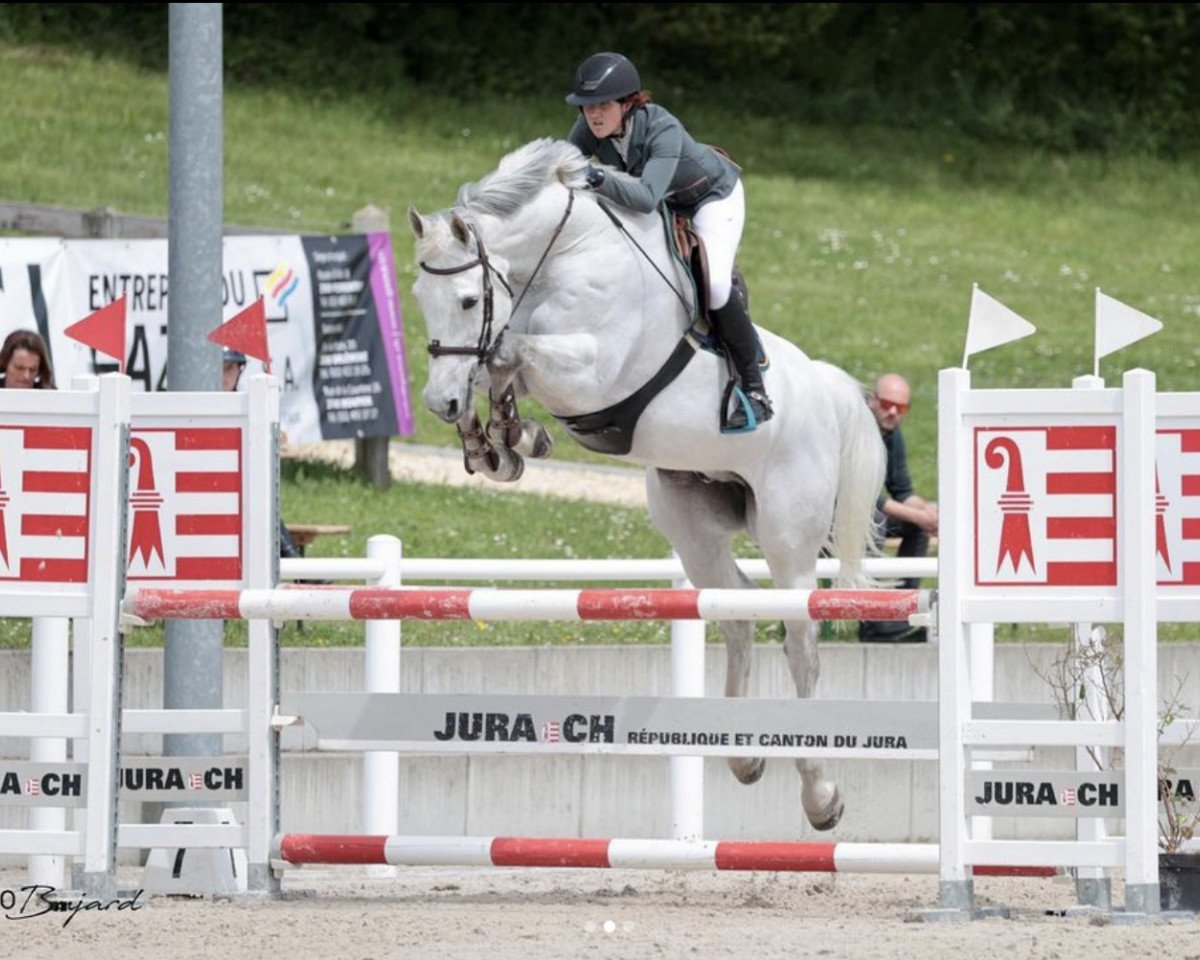 stallion Cassilias 2 (Oldenburg, 2011, from Casillas 2)
