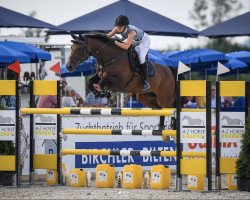 broodmare Camena Bianca CH (Swiss Warmblood, 2004, from Charisma)