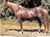 stallion Downland Chevalier (Welsh-Pony (Section B), 1962, from Downland Dauphin)