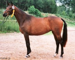 broodmare Vestine II (Trakehner, 1997, from Wettsport)