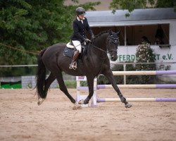 broodmare Girantina (Oldenburg, 2010, from Contendro I)