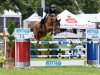 jumper Pretty Sandy Jo PJ (Hanoverian, 2017, from Perigueux)