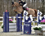 jumper Sally 721 (Hanoverian, 2011, from Stanley)