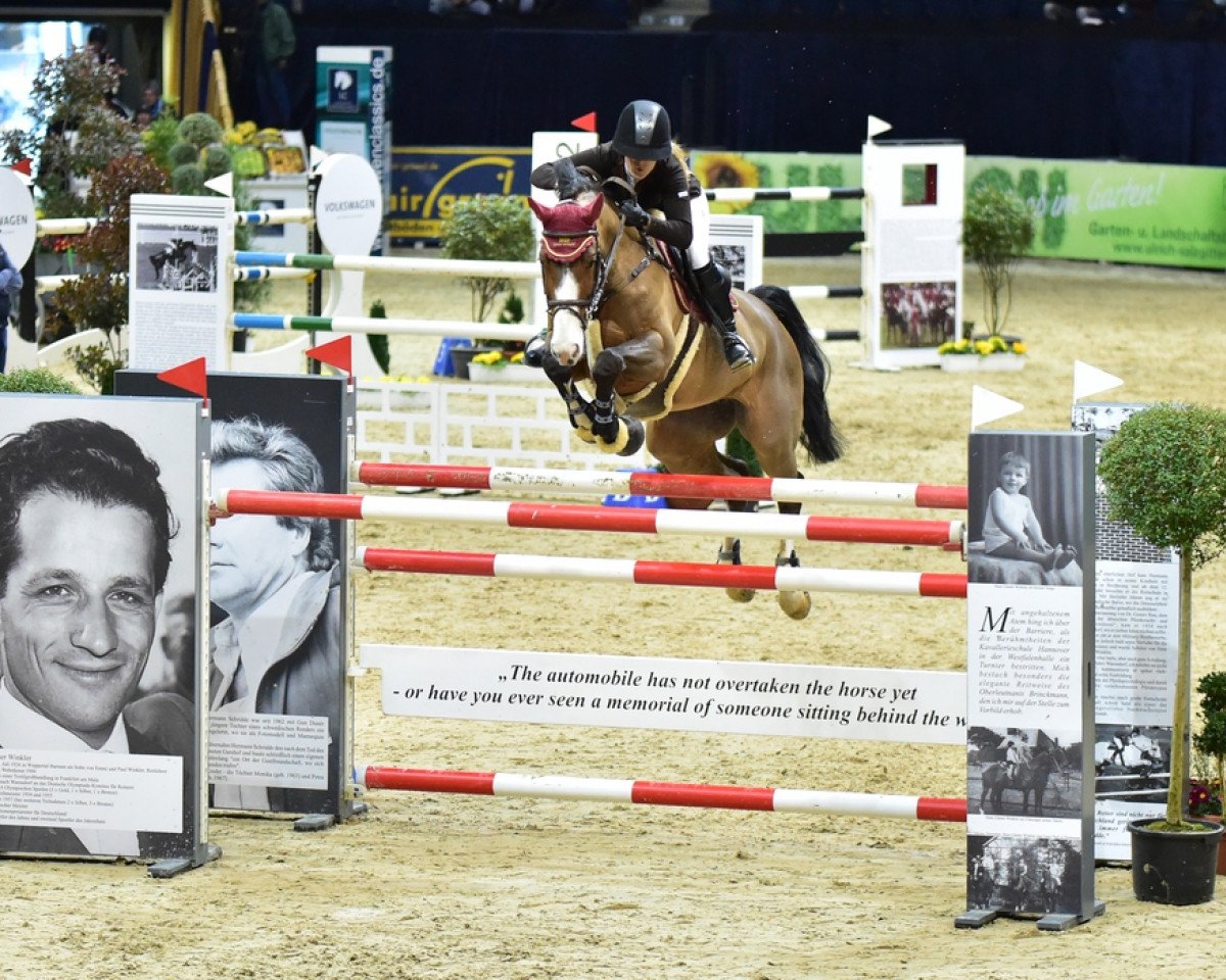 broodmare Brisbane 12 (Hanoverian, 2007, from Balou du Rouet)