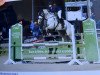 jumper Double R Bangkok und Walyro (Spanish Sport Horse, 2013, from Toulon)