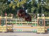 jumper Tinkerbell (KWPN (Royal Dutch Sporthorse), 2018, from Comthago VDL)