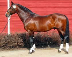 stallion Mozart II 79 FIN (Danish Warmblood, 1988, from May Sherif 64 FIN)