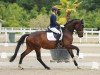 dressage horse Kalballa Mfg (KWPN (Royal Dutch Sporthorse), 2019, from Kingston Jz)