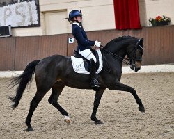 dressage horse Flanagan Dream (Westphalian, 2011, from Flanagan)